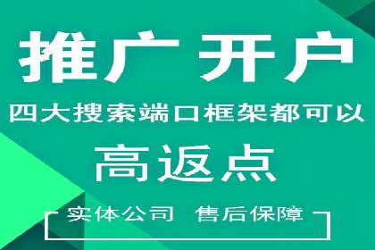 深入解析SEM账户竞价运营成功案例